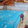 Erlernen und Festigen des Schmetterlingsschwimmens im Nachwuchsbereich 