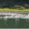 Kalt, nass und ziemlich erfolgreich: Masters-Freiwasser-DM in Gummersbach